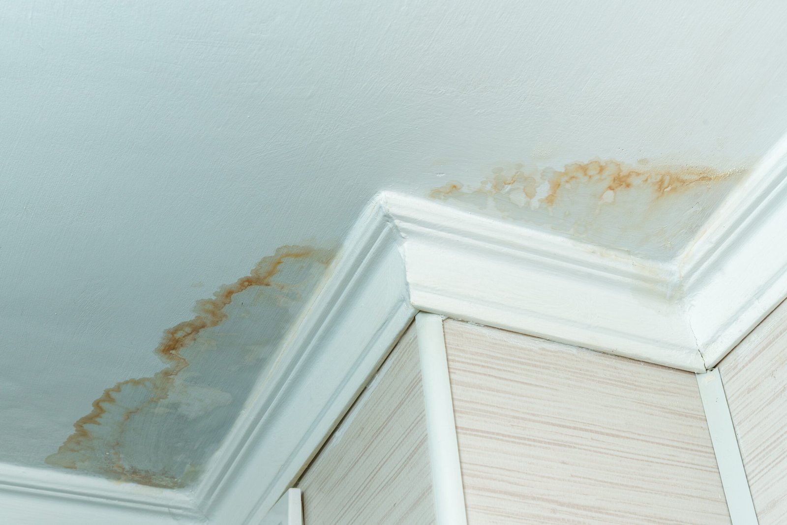 Close up stain of a roof water leak, water damaged ceiling of a home in Ajax